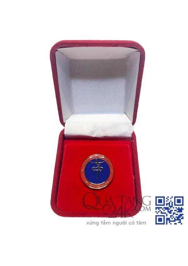 Huy Hiệu Võ học