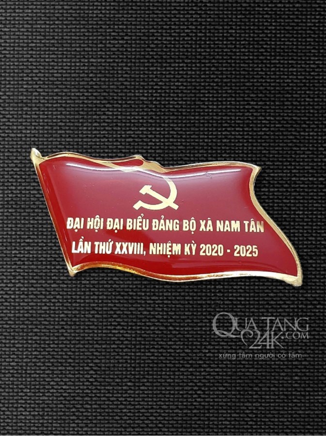 Phù hiệu Đại biểu Hội đồng nhân dân