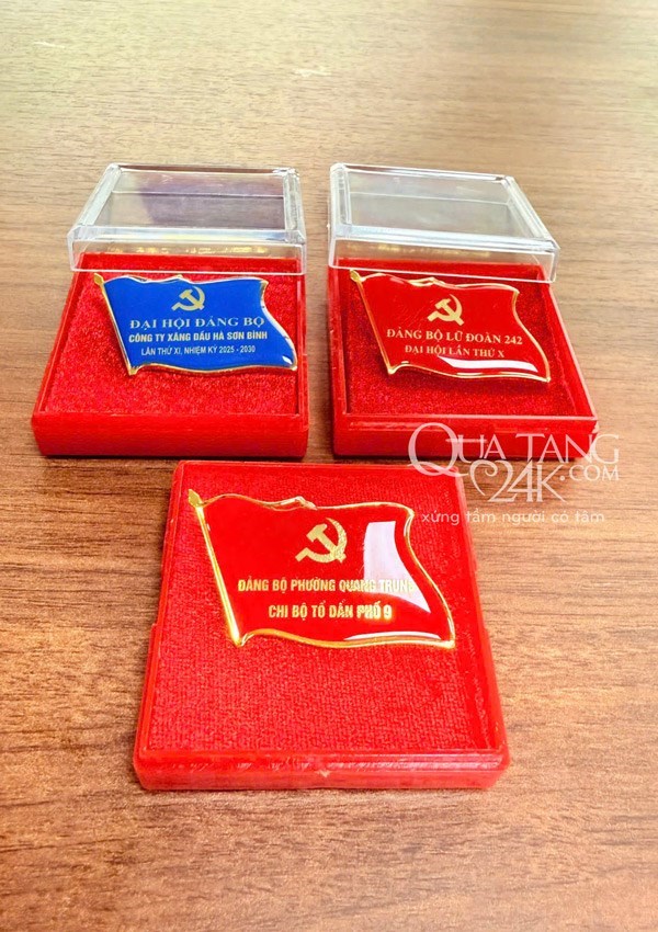 Phù hiệu Đại biểu Hội đồng nhân dân
